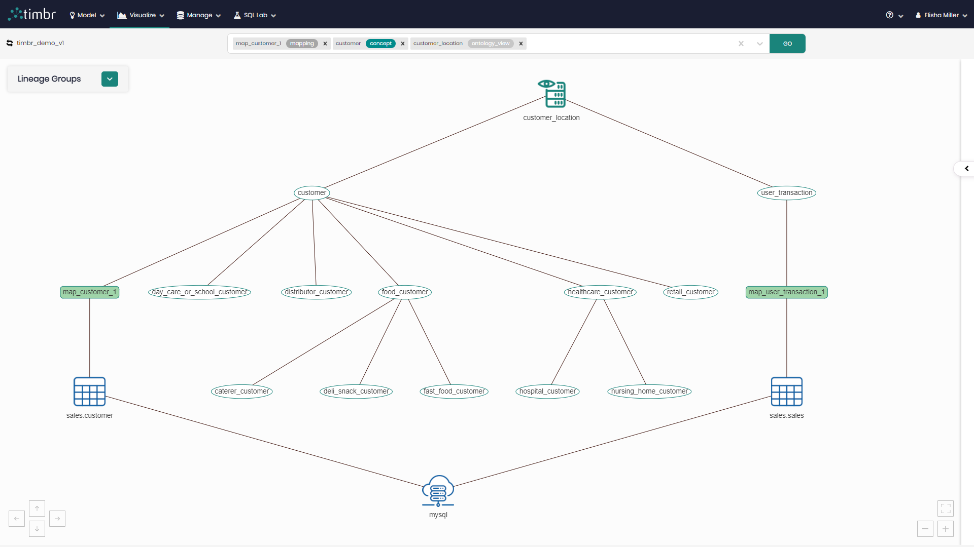 Knowledge Lineage - Main graph area